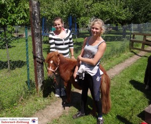 585 - Gnadenhof Sommerfest 3 - Pony Pferd