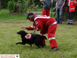 585 - Gnadenhof Sommerfest 5 - Rettungshund1