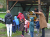 15738-Aepfel-Mauritius-02