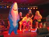 20054-Montag-Pary-Dolphin-1