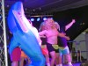 20054-Montag-Pary-Dolphin-3