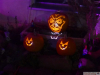 11448 - Halloweenhouse Leimen 3
