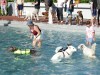 18182-Hundebadetag-16