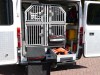 18182-Hundebadetag-22