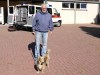 18182-Hundebadetag-23