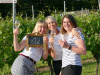 15320-Weinberg-Picknick-19