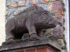14116-OB-Rundgang-11-Wildsau-Schwein