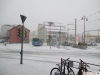 10038 - Winter KCL 1