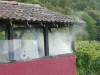 18245-Weinfest-13