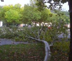 15 Minuten Hitchcock-Wetter in Leimen – Sturmböen und Starkregen