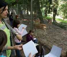 Kunstverein: Ferientreff am Leimener Wildgehege
