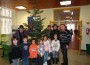 CDU spendet Weihnachtsbäume für Schulen und Kindergärten! DANKE!
