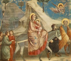 Weihnachtsbotschaft des Vorsitzenden des Rates der EKD, Präses Nikolaus Schneider