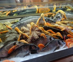 Neueröffnung: „Fischerstübchen in Leimen am See“ – Spezialitäten: Fisch & Paella