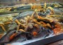 Neueröffnung: „Fischerstübchen in Leimen am See“ – Spezialitäten: Fisch & Paella