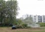 VfB-Hartplatz: Die ersten Bäume wurden gefällt – eine Linde und zwei Platanen