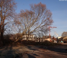 Jahresrückblick 2012