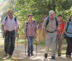 Forst BW warnt vor Hochwasserschäden an Waldwegen