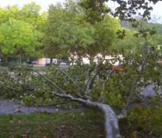 Starker Regen und heftiger Wind – ca. 114.000 EURO Schaden – keine Verletzten