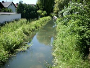 569 - Leimbach Hochwasser