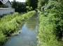 Leserbrief: Das nächste Hochwasser kommt bestimmt!