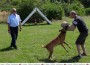 8. Oktober: Leistungsvergleich der Polizei-Hundestaffeln in Mannheim