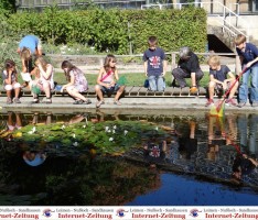 Lotusblüten, Molche, Schnecken und anderes Getier im Botanischen Garten