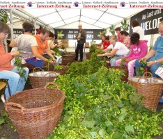 Bgm. Kletti bestätigt beim Sandhäuser Hopfezopfe: Bier ist unglaublich gesund!