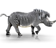Nashorn? Zebra? Nabra! – Die neue, künstliche Lebensform in Leimen