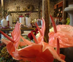 Landcafé und Blumenwerkstatt machen Lingental zum herbstlichen Ausflugsziel