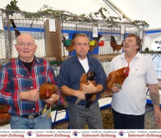 Kleintierzüchter St. Ilgen präsentierten „Roland Weick Gedächtnisschau“