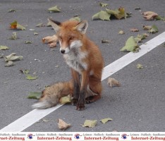 “Best of Oktober” – Unsere TOP 10 der meistgelesenen Artikel