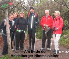 TVG Nordic-Walker erklimmern Heidelberger Himmelsleiter