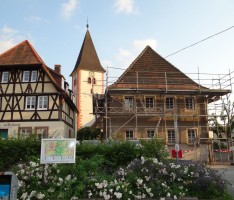 Meinungen und Leserbriefe zum Abriß Michaelishaus