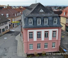 Das Palais Seligmann in Leimen und die höfische Kultur der Kurpfalz