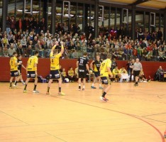 AGAPE Benefiz-Spiel TSG gegen Rhein-Neckar Löwen