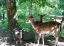 Abenteuerspielplatz „Spuk im Wald“ für große und kleine Gäste gerüstet