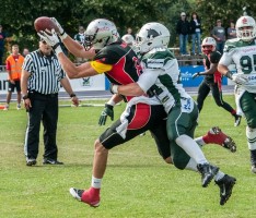 Rhein-Neckar-Bandits scheitern gegen Schwäbisch Hall Unicorns