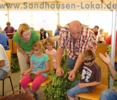 Hopfenernte und Hopfezopfe: Bis zur Kerwe wird „Sandhäuser Gold“ daraus
