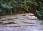 Sandhäuser Forst: Verkauf von 865 Festmeter Holz für 40.000 € vorgesehen