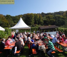Ein Tag für die Götter im Weinberg über Leimen
