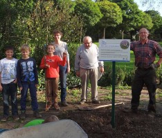 Mehr Natur in Siedlungsgebieten </br>NABU bepflanzt Beet im Menzerpark