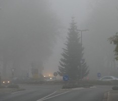 Fata Morgana im Morgennebel? Nein – DAS ist der neue Weihnachtsbaum!