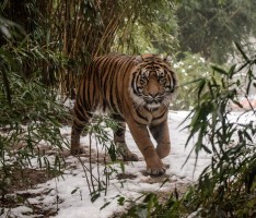 Abwechslungsreiche Herbstferien garantiert – Schnupper-Workshops für Kinder im Zoo