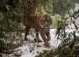 Rekord im Zoo Heidelberg:</br>Erneute Steigerung bei den Besuchszahlen