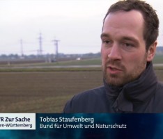 L600 als Fernsehthema in Zur Sache Baden-Württemberg: „Zoff in Sandhausen“