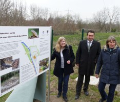 Hinweisschild Zauneidechsen-Habitat beim Regenwasser-Rückhaltebecken aufgestellt