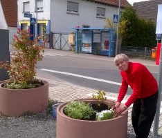 Selbst ist die Frau: Blumenkübel in St. Ilgen bepflanzt