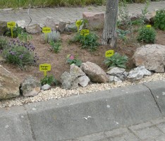 Sandhausen: Dank Familie Hauk wurde ein „Schmuddeleck“ zum Schmuckstück