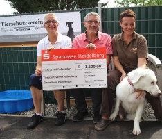 Sparkasse Heidelberg unterstützt das Hundehaus des Tierheimes mit 1500 Euro